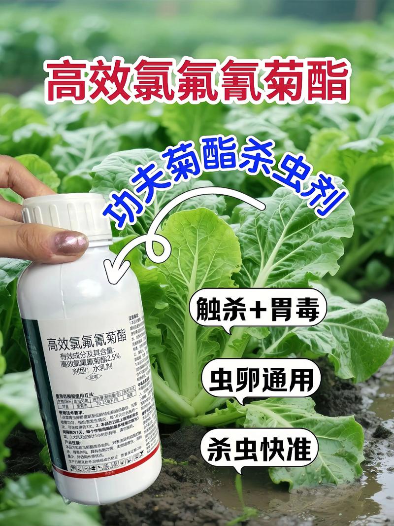 伊犁代生中心:农药对供卵代生妈妈的危害